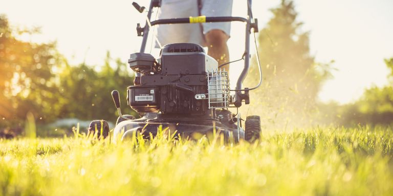 Drum Mower vs Disc Mower: Which is the Ideal Choice?