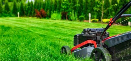 Should You Mow Your Lawn Before or After a Lawn Treatment?